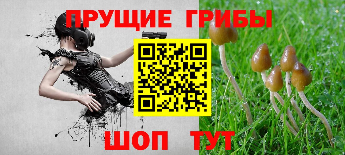 Псилоцибиновые грибы мухоморы  дарнет шоп  Вход с VPN  Павловский Посад  Галлюциногенные грибы MAGIC MUSHROOMS 